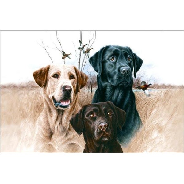 H2H DM 54 Great Hunting Dogs Doormat; Brown H210686